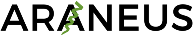 Araneus Web Studio