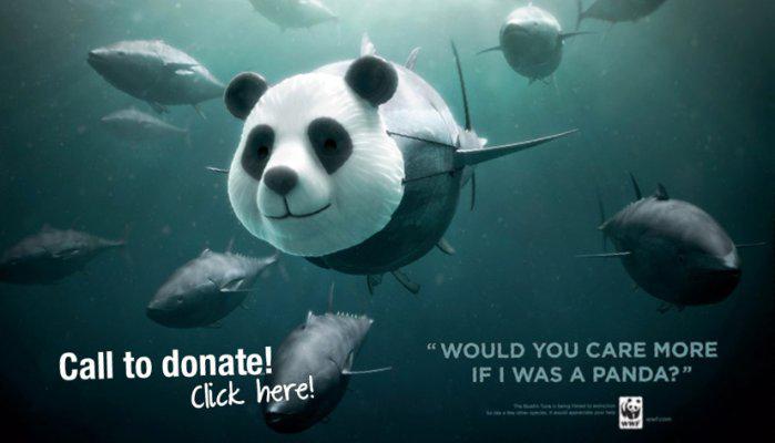 Call To Action : l'importanza di una immagine ad effetto call-to-action-layout-grafica